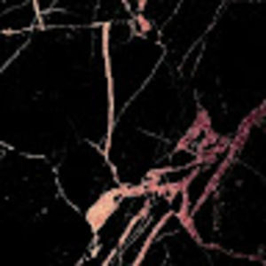 Meet your Posher, Garyn